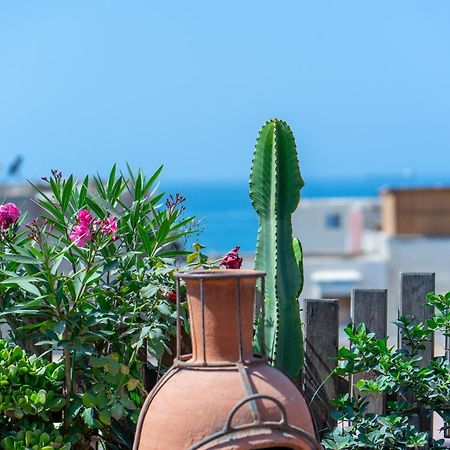 아가디르 Anza Surfhouse B&B 외부 사진